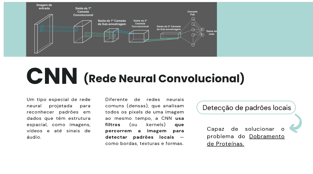 CNN de classificação de proteínas